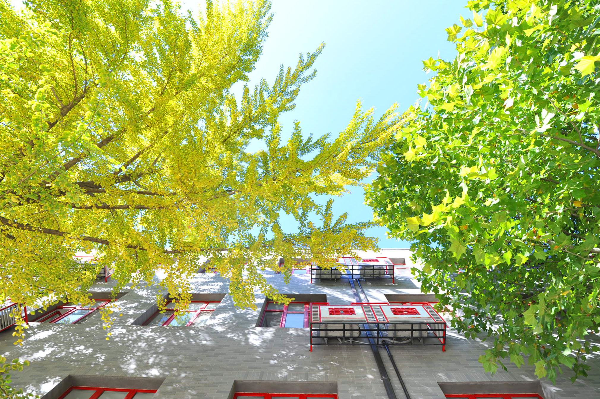 暖心陪伴，共育成长——心理健康教研组 温...