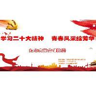 学习二十大精神  青春风采绽芳华——央美...